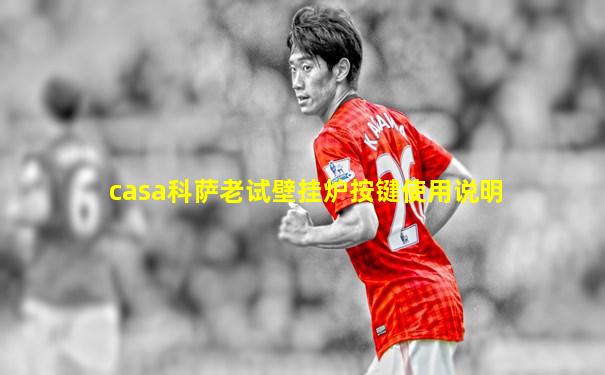casa科萨老试壁挂炉按键使用说明