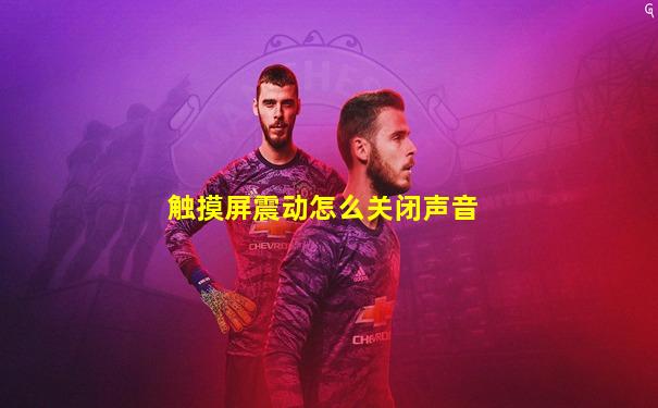 触摸屏震动怎么关闭声音