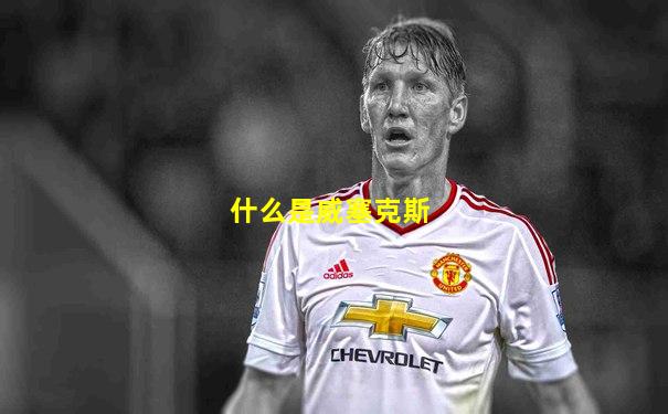什么是威塞克斯