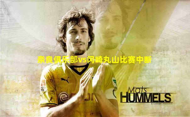 奈良俱乐部vs冈崎丸山比赛中断