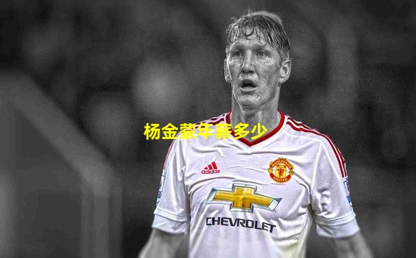 杨金蒙年薪多少